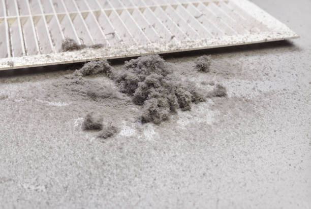 Best Home Air Vent Cleaning  in Chamblee, GA