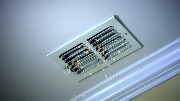 Best Affordable Air Duct Cleaning  in Chamblee, GA