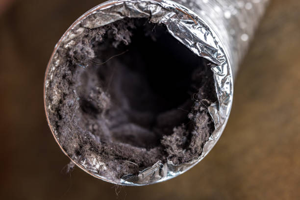 Best Affordable Duct Cleaning Services  in Chamblee, GA